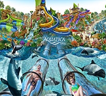 Disney Orlando Water Park