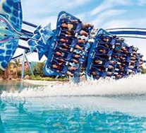 Disney Orlando Attractions
