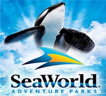 Disney Orlando SeaWorld