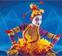 Disney Orlando Shows